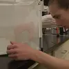 Oregon State University undergraduate Vincent Vaughn-Uding selects a stink bug to record in the lab in May 2023. The bug's call will be utilized b a new pest control device dubbed the "Pied Piper."  Dan Evans / OPB
